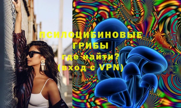 винт Сясьстрой