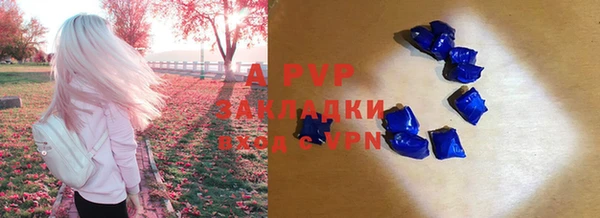 амф Белокуриха